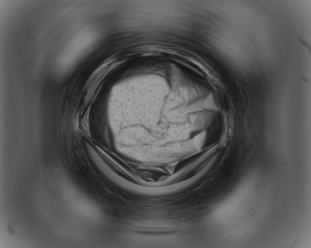 X0000091921198200710031032