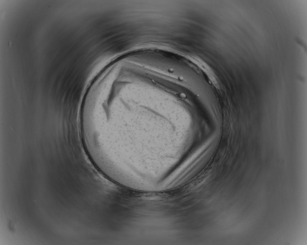 X0000091921199200710031032