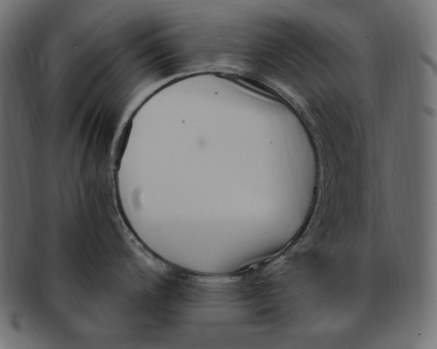 X0000091921200200710031032