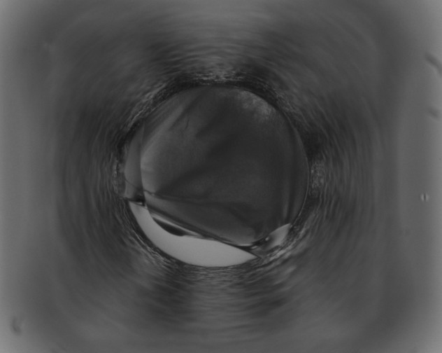 X0000091921202200710031032