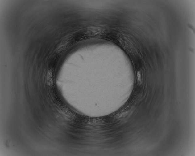 X0000091921203200710031032
