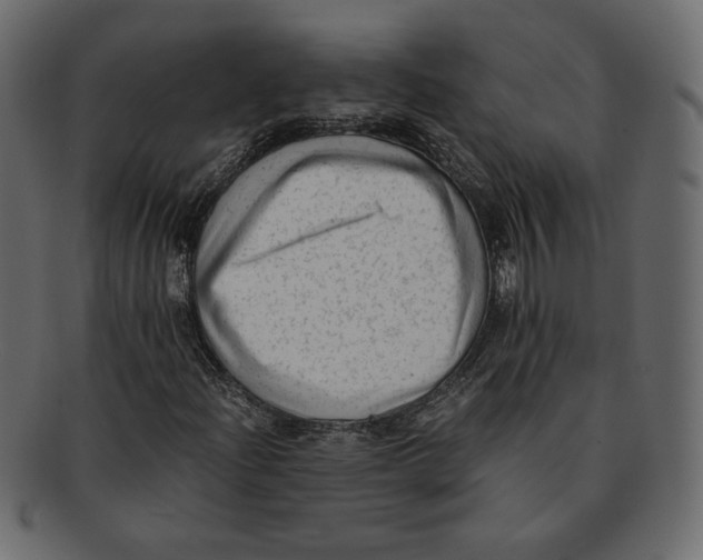 X0000091921204200710031032
