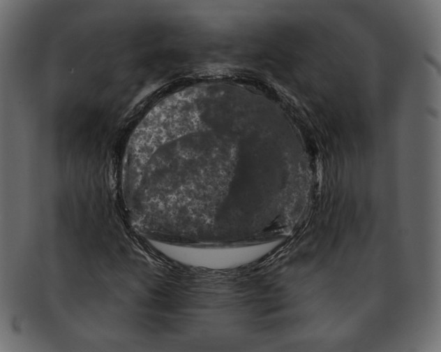 X0000091921206200710031032