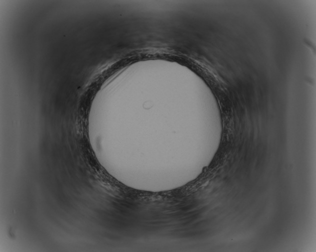 X0000091921207200710031032