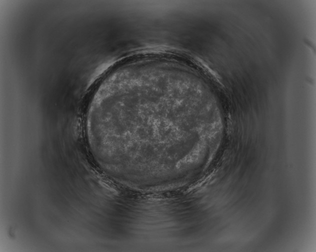 X0000091921208200710031032
