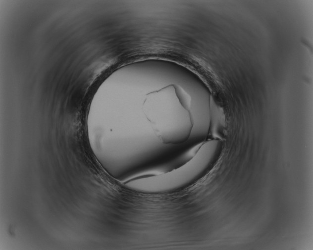 X0000091921210200710031032