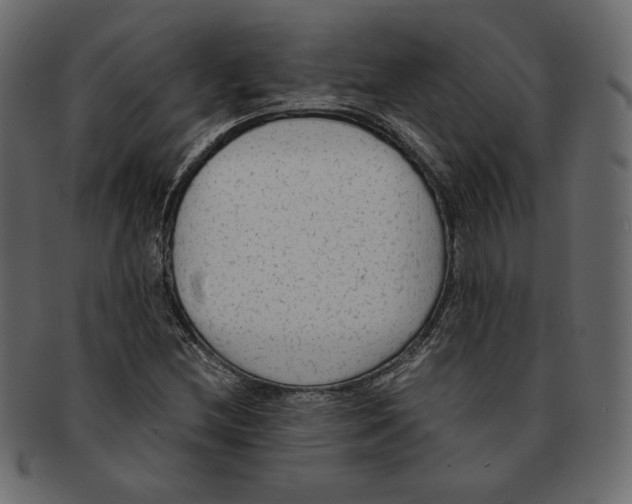 X0000091921212200710031032