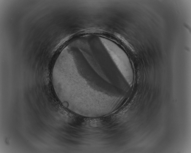 X0000091921213200710031032