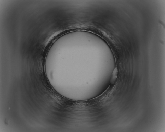 X0000091921214200710031032