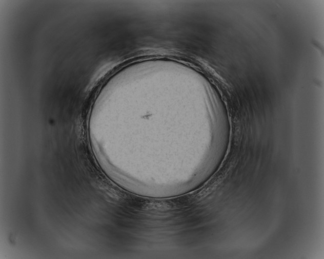 X0000091921215200710031032