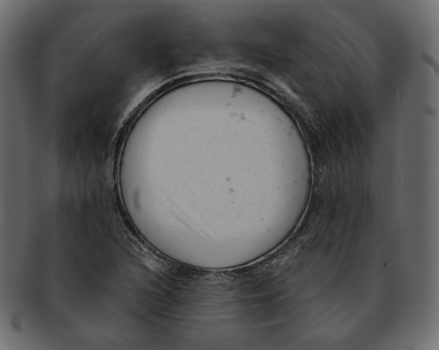 X0000091921216200710031032