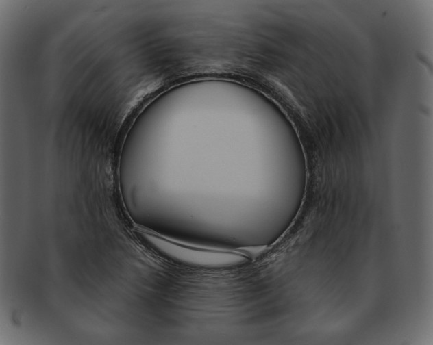X0000091921218200710031032