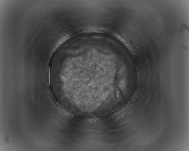 X0000091921219200710031032