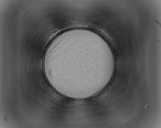 X0000091921220200710031032