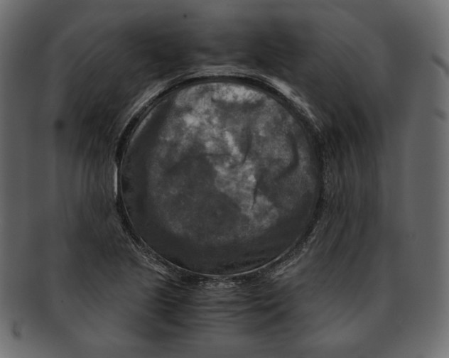 X0000091921221200710031032