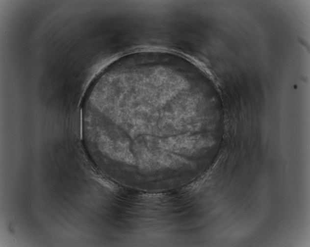 X0000091921223200710031032