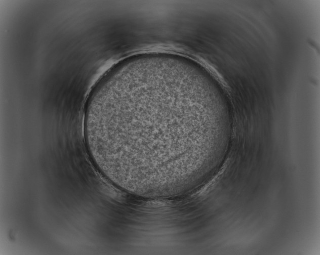 X0000091921224200710031032
