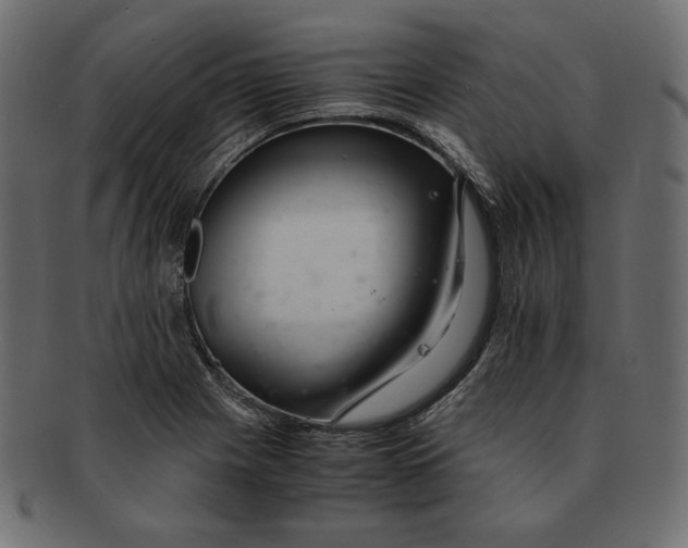 X0000091921225200710031032