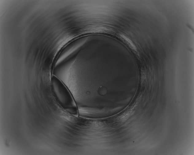X0000091921226200710031032