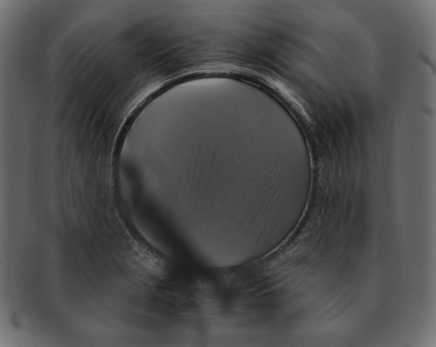X0000091921229200710031032