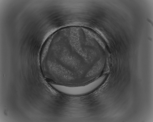 X0000091921230200710031032