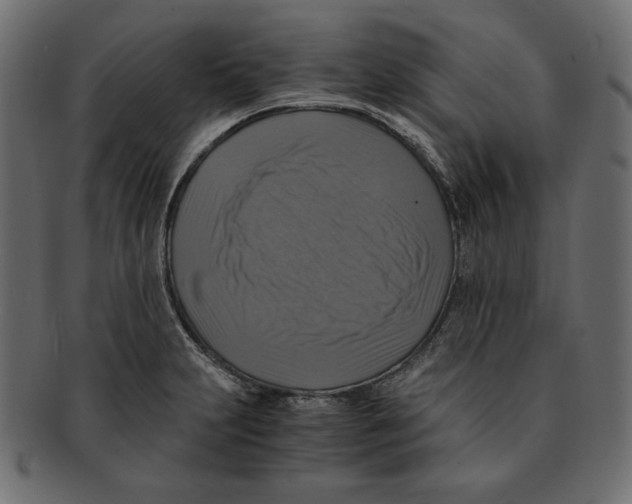 X0000091921231200710031032