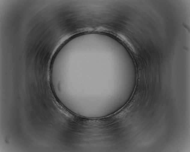 X0000091921232200710031032