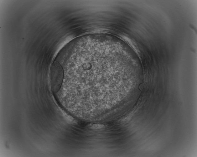 X0000091921235200710031032