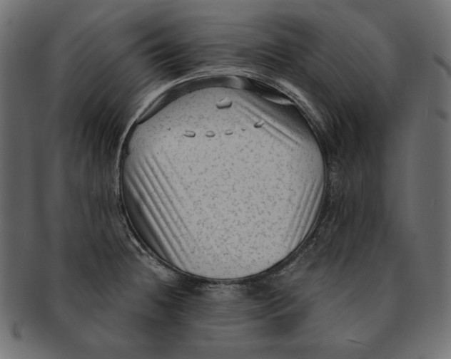 X0000091921236200710031032