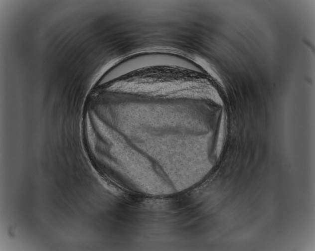 X0000091921237200710031032