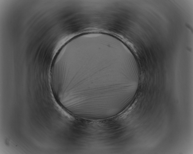X0000091921239200710031032