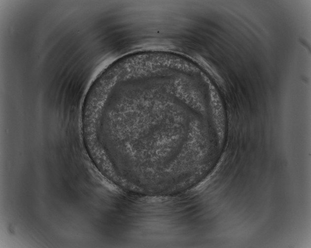 X0000091921240200710031032