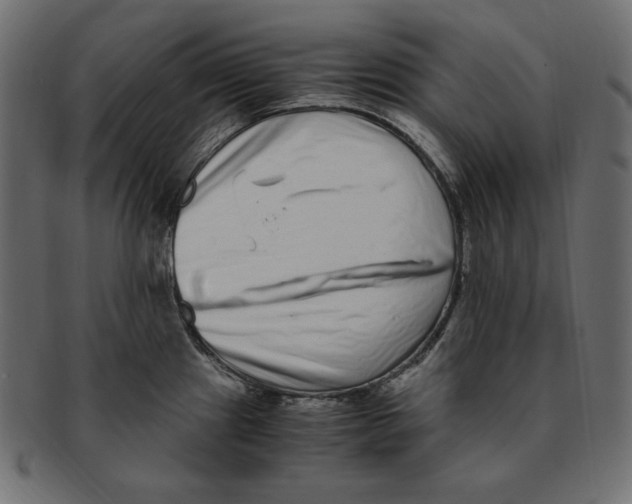 X0000091921241200710031032