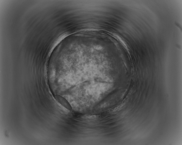 X0000091921243200710031032