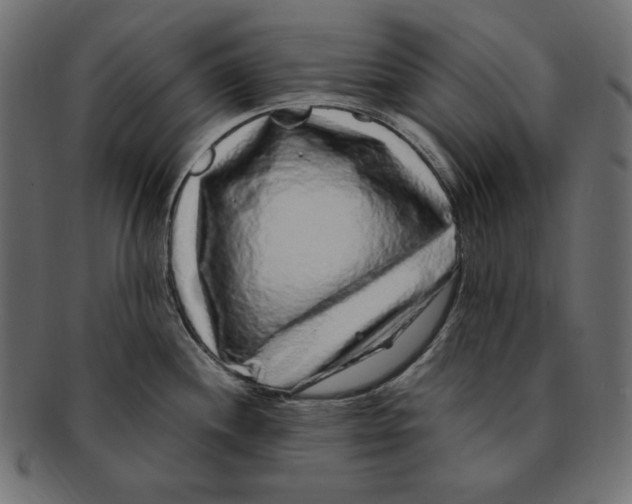 X0000091921244200710031032
