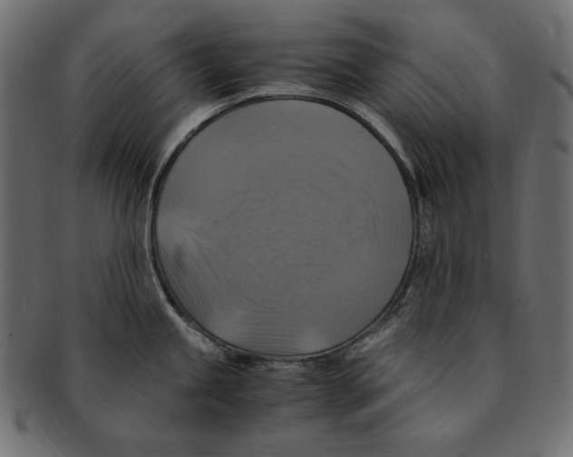 X0000091921245200710031032