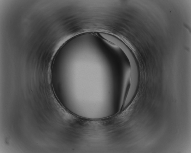 X0000091921246200710031032