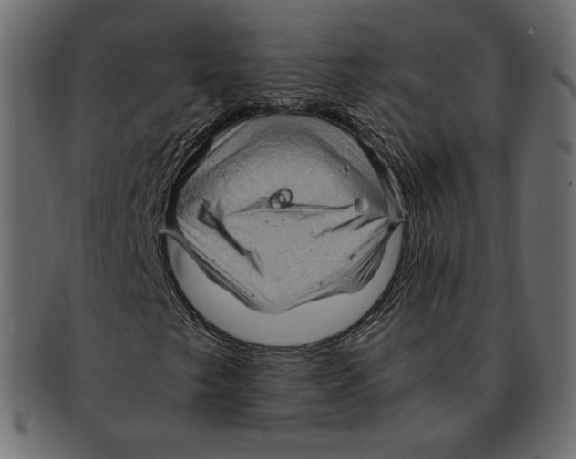 X0000091921249200710031032