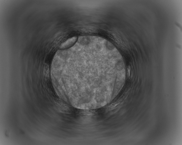 X0000091921251200710031032