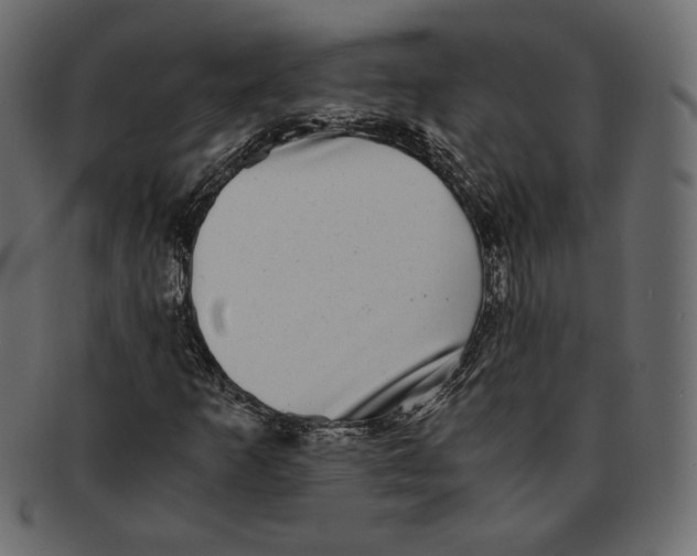 X0000091921253200710031032