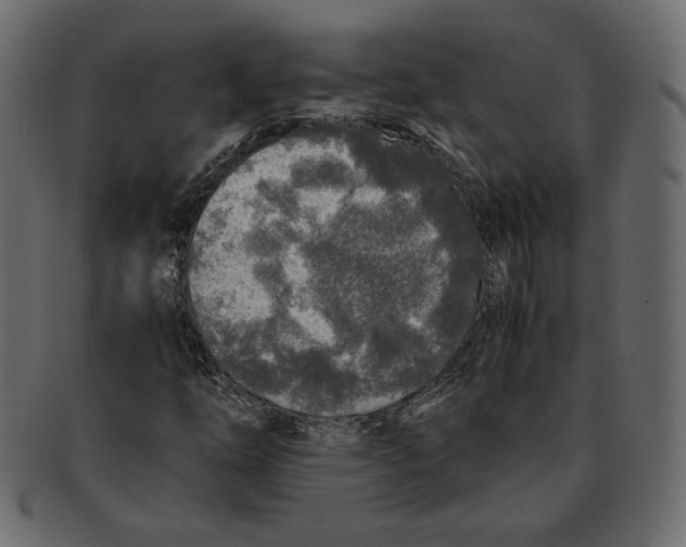 X0000091921254200710031032
