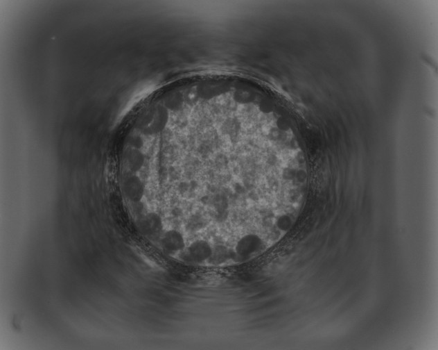 X0000091921255200710031032