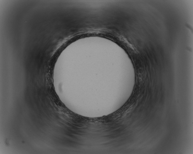 X0000091921256200710031032