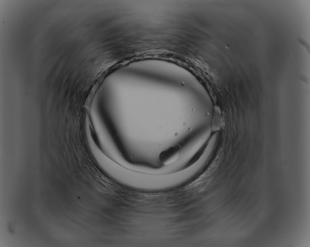 X0000091921257200710031032