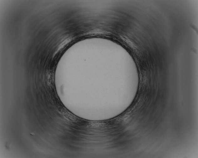 X0000091921258200710031031