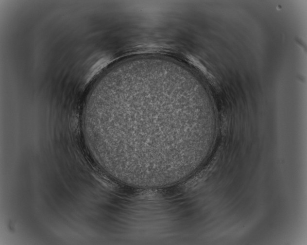X0000091921259200710031031