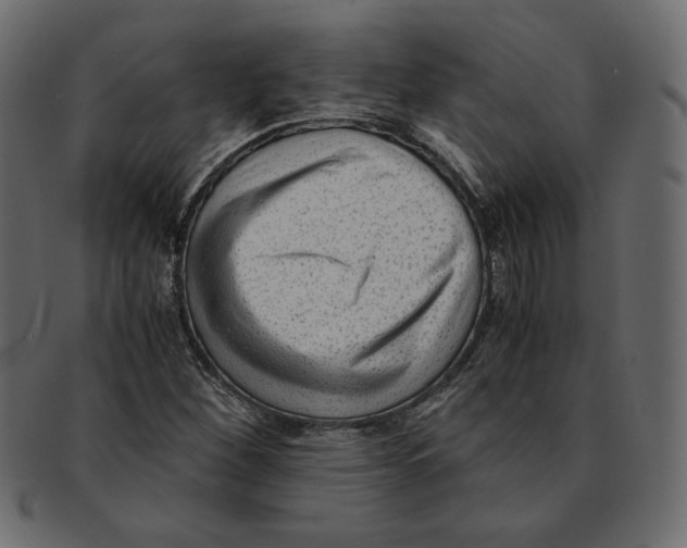X0000091921260200710031031