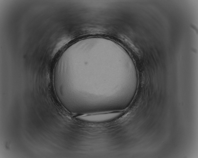 X0000091921261200710031031