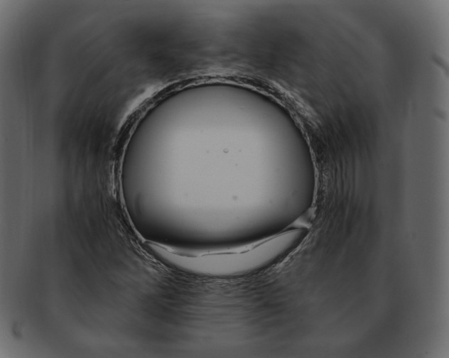 X0000091921262200710031031