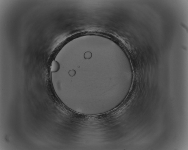 X0000091921263200710031031